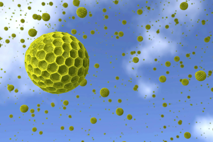 Reducing Hay Fever